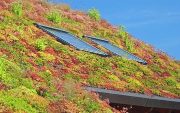South Widcombe living roof systems